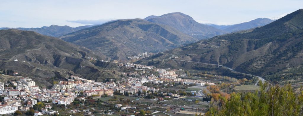 Alquiler de Grúas y Transportes