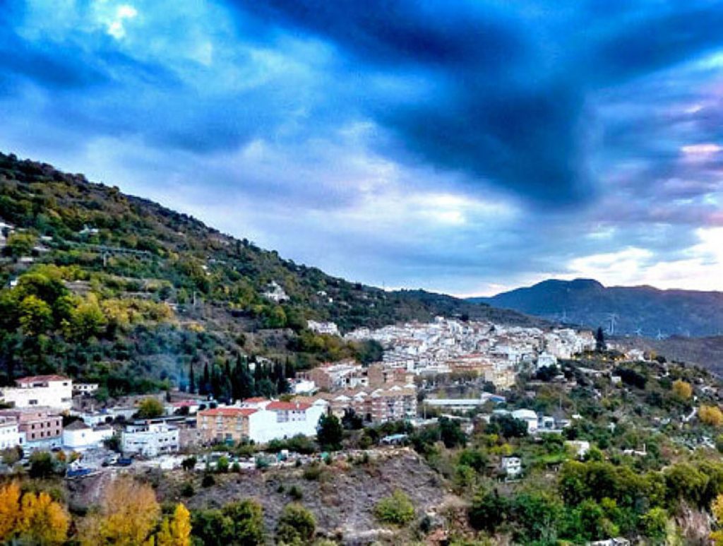 Alquiler de Gruas y Transportes